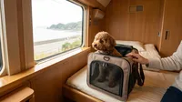 サンライズ瀬戸・出雲 犬は同伴できる？条件や個室選びを5つのポイントで解説！