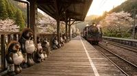 大井川鉄道のたぬきの駅とは？神尾駅の魅力や見どころを徹底紹介！