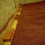 岩盤浴ではパンツ履く？ブラは着ける？下着事情についてバイトの目線から話すよ！