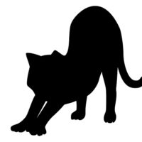 劇団四季キャッツのグッズの一覧と購入方法!注目商品は!? 劇団四季キャッツのグッズの一覧と購入方法!注目商品は!?